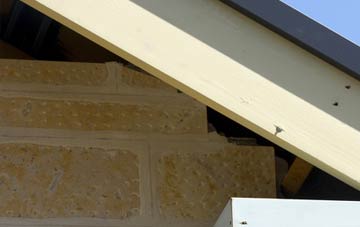 soffit repair Hartlebury Common