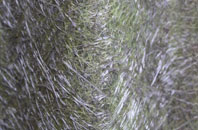 Hartlebury Common fibreglass roof work